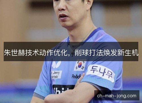 朱世赫技术动作优化，削球打法焕发新生机